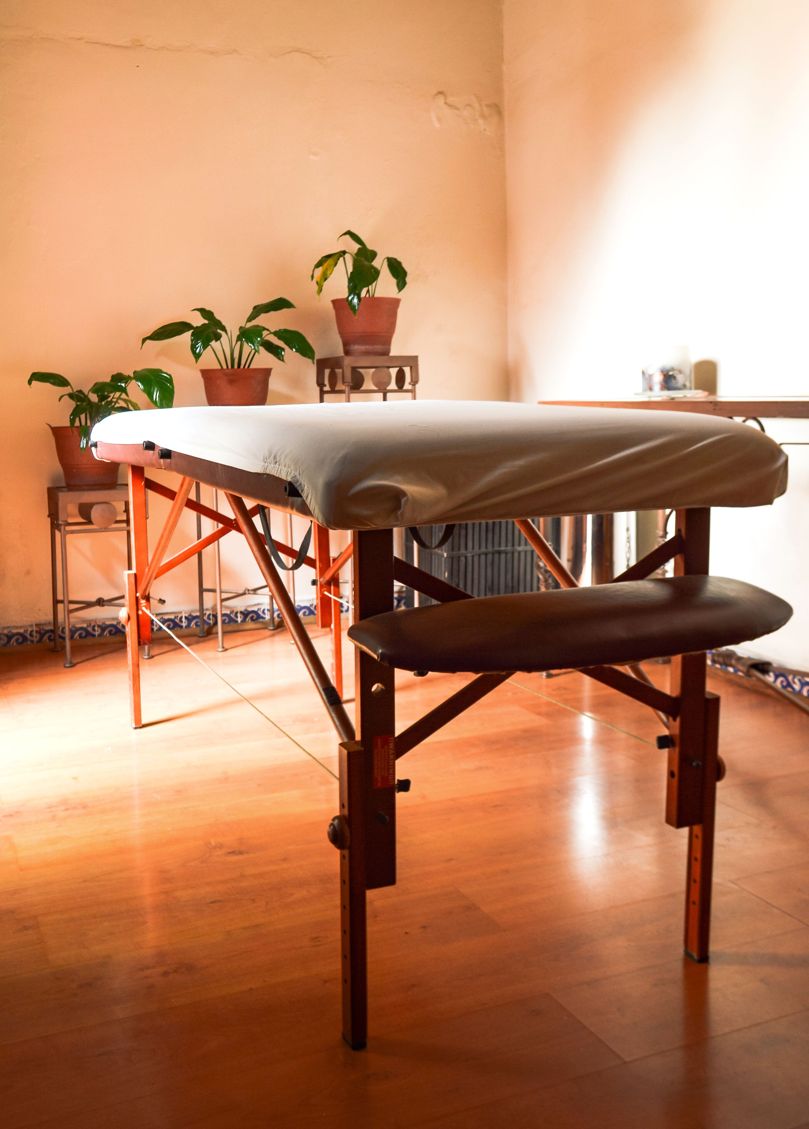 aromatherapy, ayurvedic treatments, massages