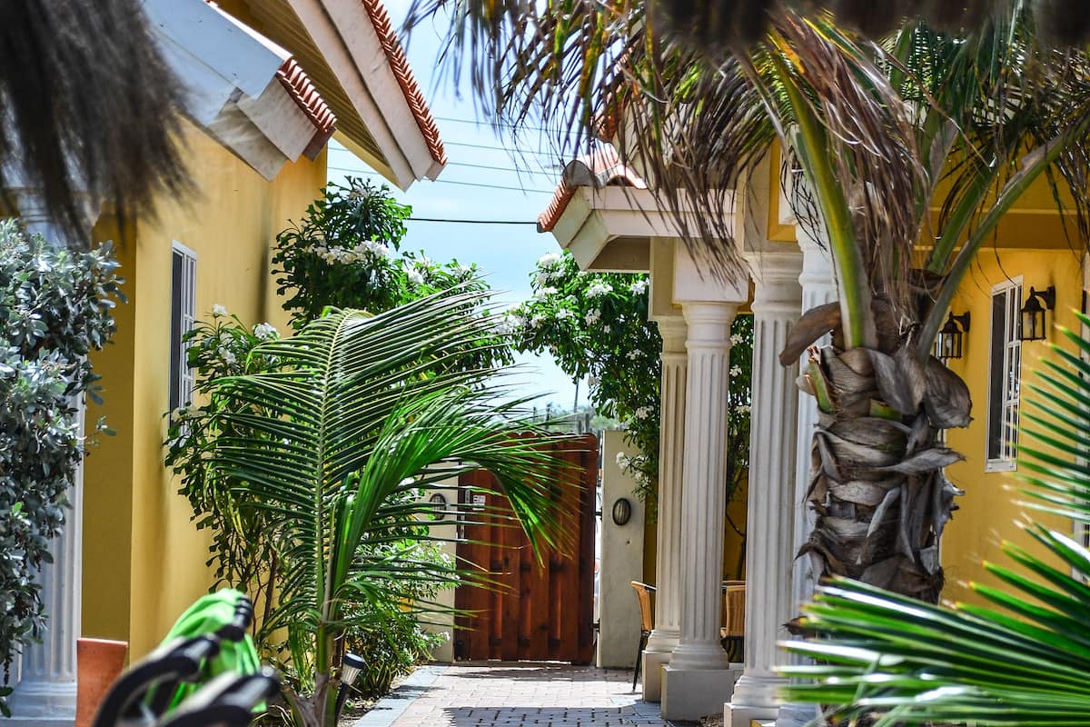A paved pathway leading to a building entrance, flanked by palm trees and benches.