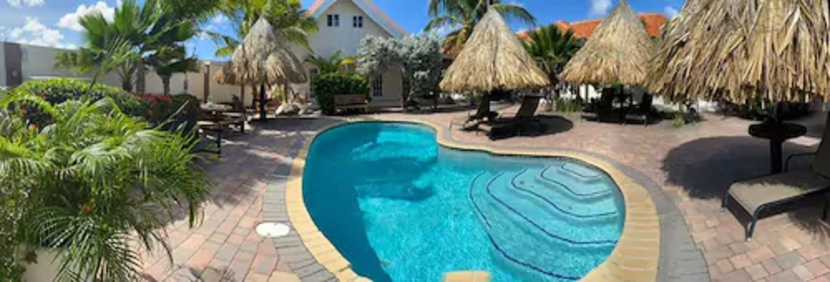 A swimming pool with a curved edge, surrounded by palm trees and thatched umbrellas.