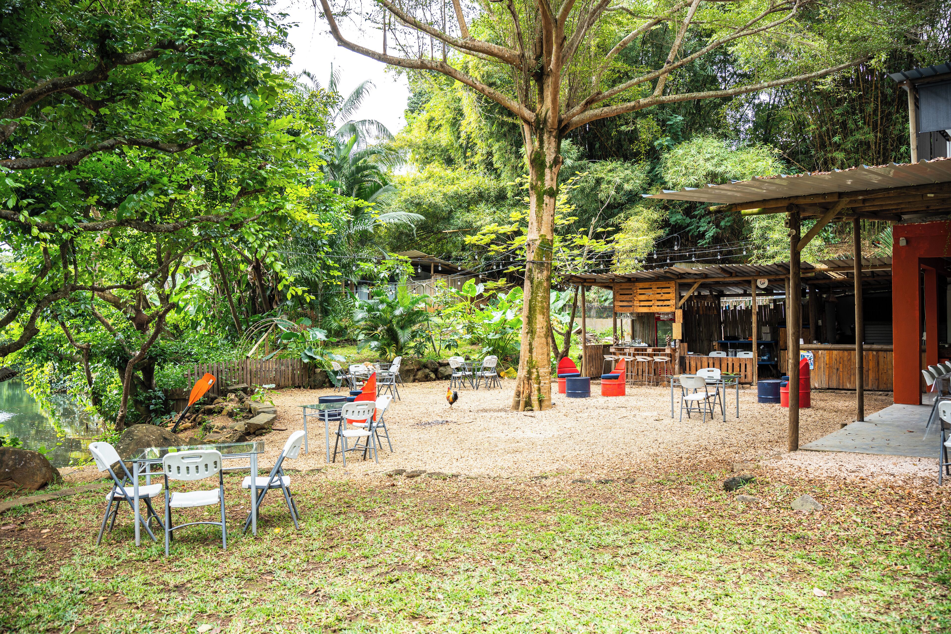 Un espace extérieur aménagé pour les repas, avec des tables et des chaises, entouré d’arbres et doté d’un coin salon abrité.