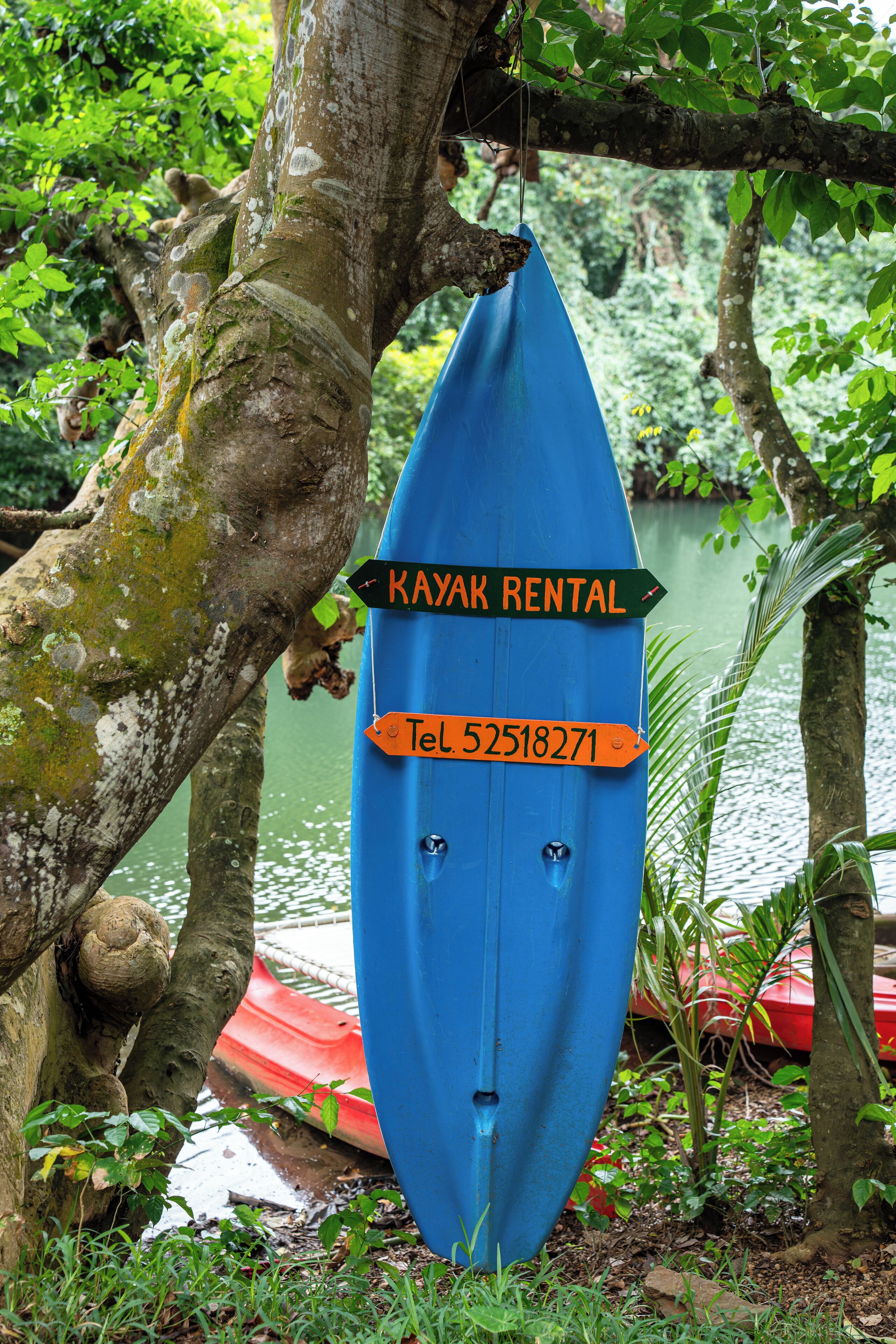 Señal azul de alquiler de kayaks con información de contacto.