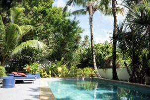 Una piscina rodeada de exuberante vegetación y palmeras.