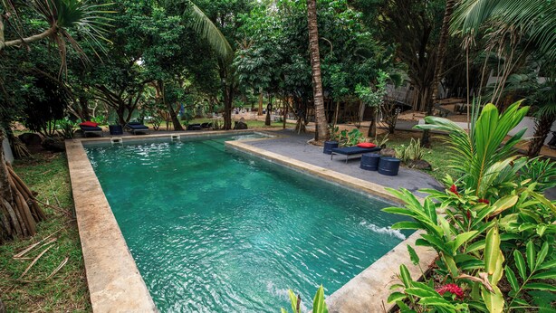 Una piscina rectangular con borde de hormigón, rodeada de abundante vegetación y palmeras.