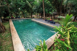 A rectangular pool with a concrete edge, surrounded by lush greenery and palm trees. - Nativ Lodge & Spa (Mahebourg)