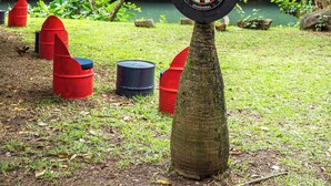 Un dardo colgado de un árbol en un parque, con alfileres rojos y azules, y un río al fondo.