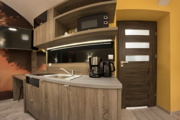 Studio (Apartment level -1 Mickiewicza Street) | Private kitchenette | Full-sized fridge, microwave, stovetop, coffee/tea maker