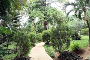 Jardim