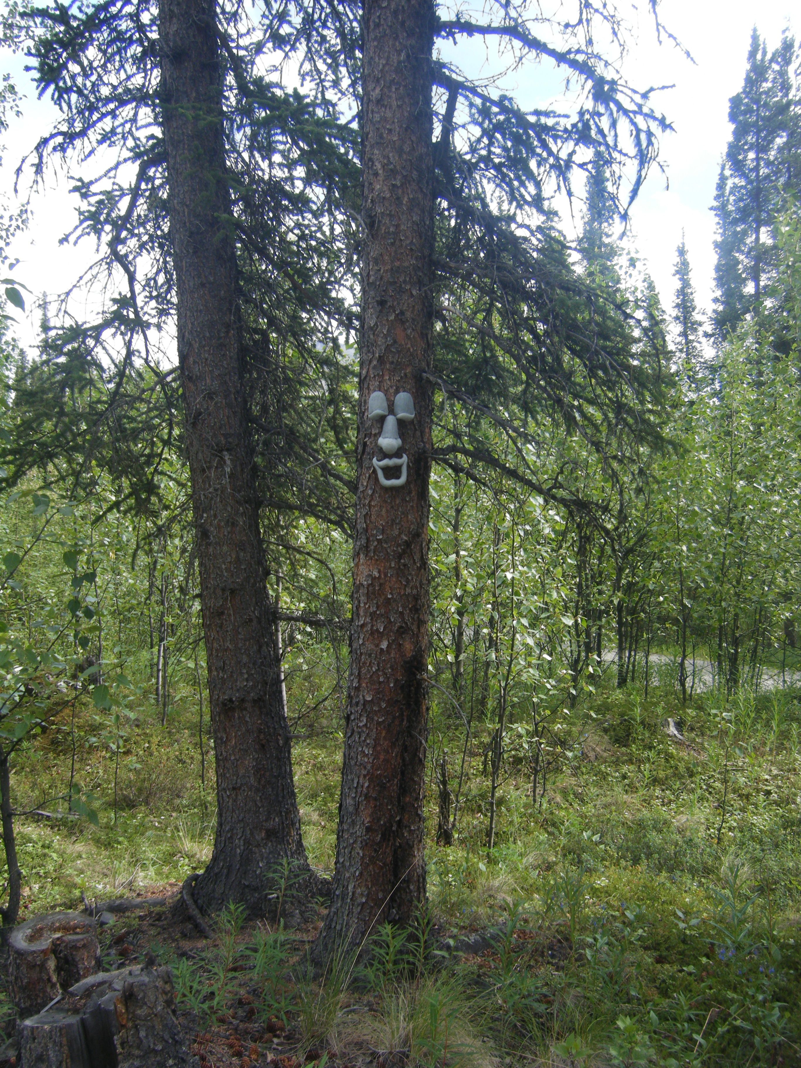 Un bosque con dos árboles grandes y un rostro tallado en el tronco de uno.