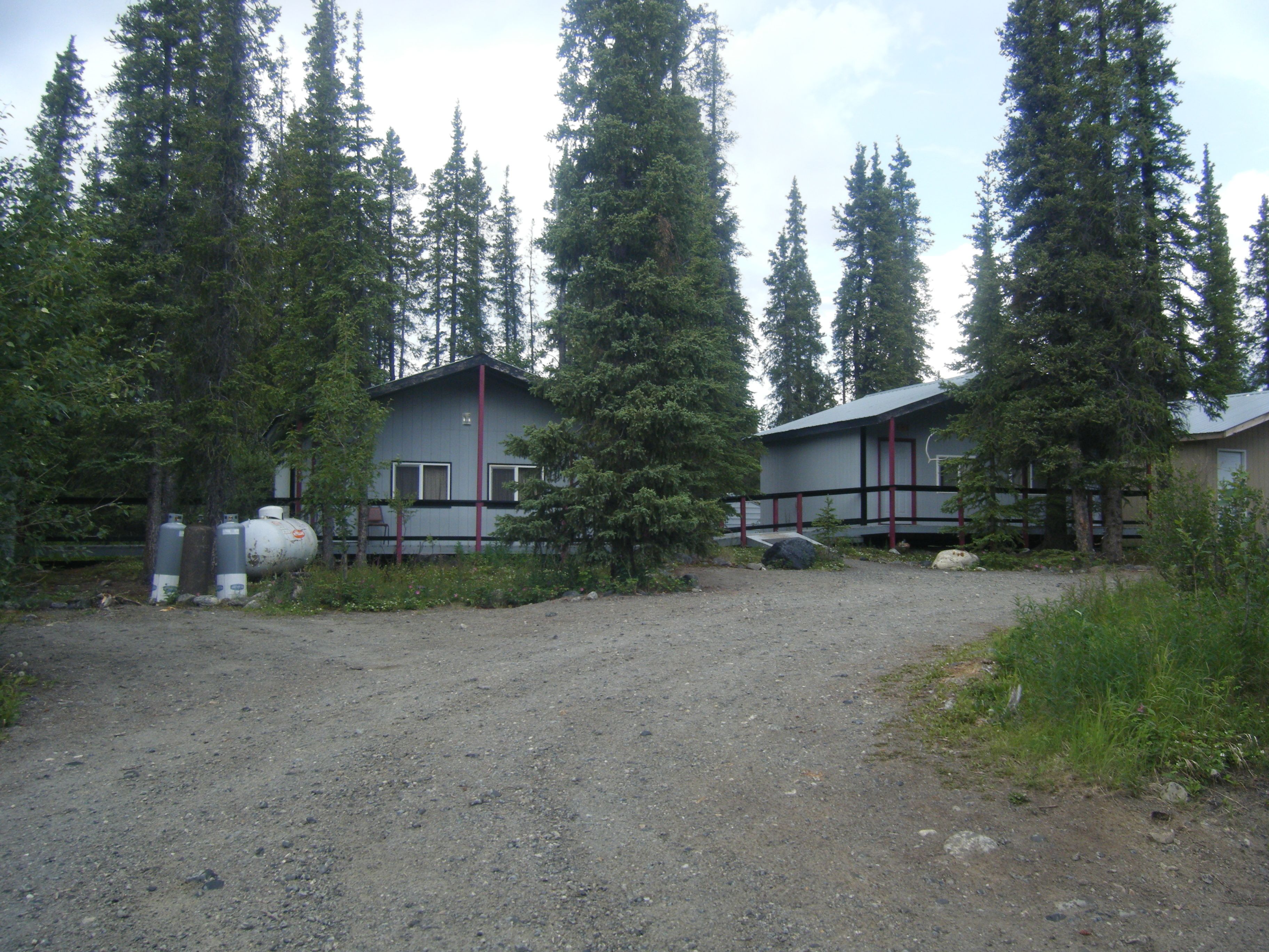A two-story cabin with a gravel driveway, surrounded by tall evergreen trees.