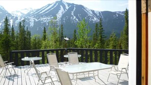 Terrace/patio - Denali Perch Resort (Denali National Park)