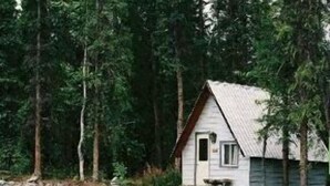 A cabin by a river surrounded by trees.