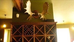 A room with a wooden ceiling structure, a decorative elk head, and a patterned wall.