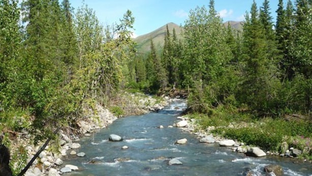 A river flowing through a forested area with rocky terrain and trees.
