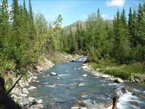 A river flowing through a forested area with rocky terrain and trees. - Denali Perch Resort (Denali National Park)