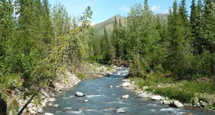 Denali Perch Resort