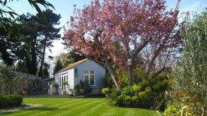 A house with a well-maintained lawn, a porch with potted plants, and a tree with pink blossoms. - Birch House B&B (Weymouth)