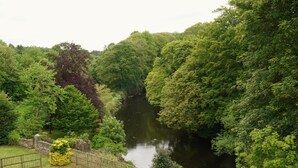 A river surrounded by dense green trees and a wooden fence.