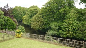 A river surrounded by dense green trees and a wooden fence.