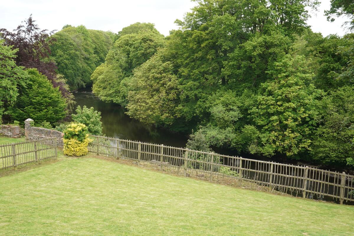 A river surrounded by dense green trees and a wooden fence.
