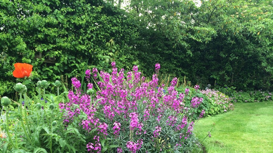 Pickmere Country House