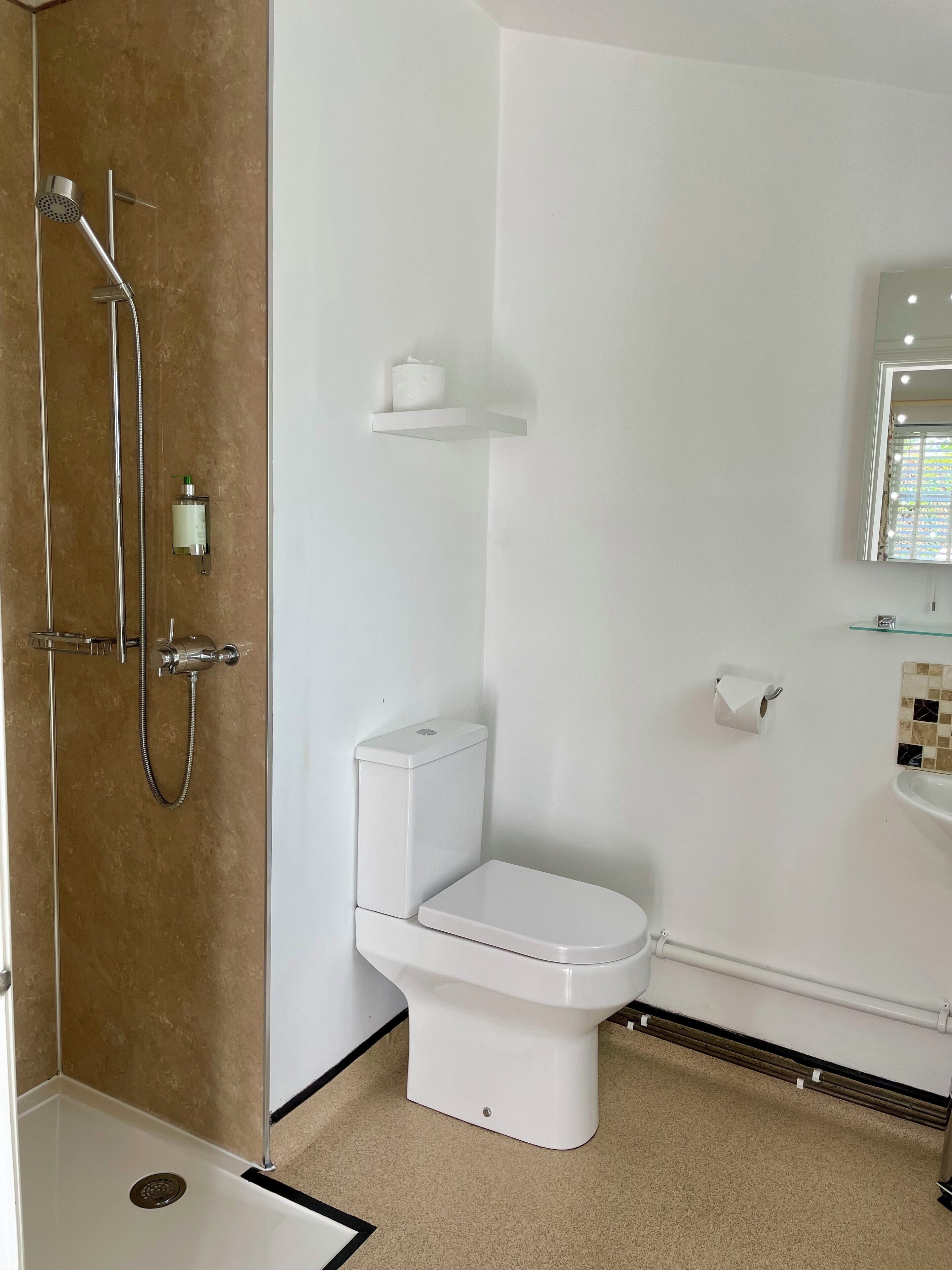 A bathroom with a shower, toilet, and a mirror.