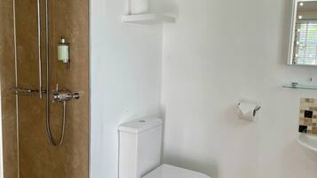A bathroom with a shower, toilet, and a mirror.