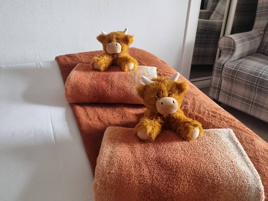 Habitación de hotel con una cama, dos peluches sobre una manta marrón y un sofá a cuadros al fondo.