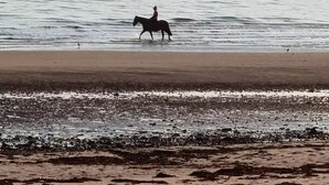 Une plage où l’on voit un cheval et son cavalier se promener le long du rivage.