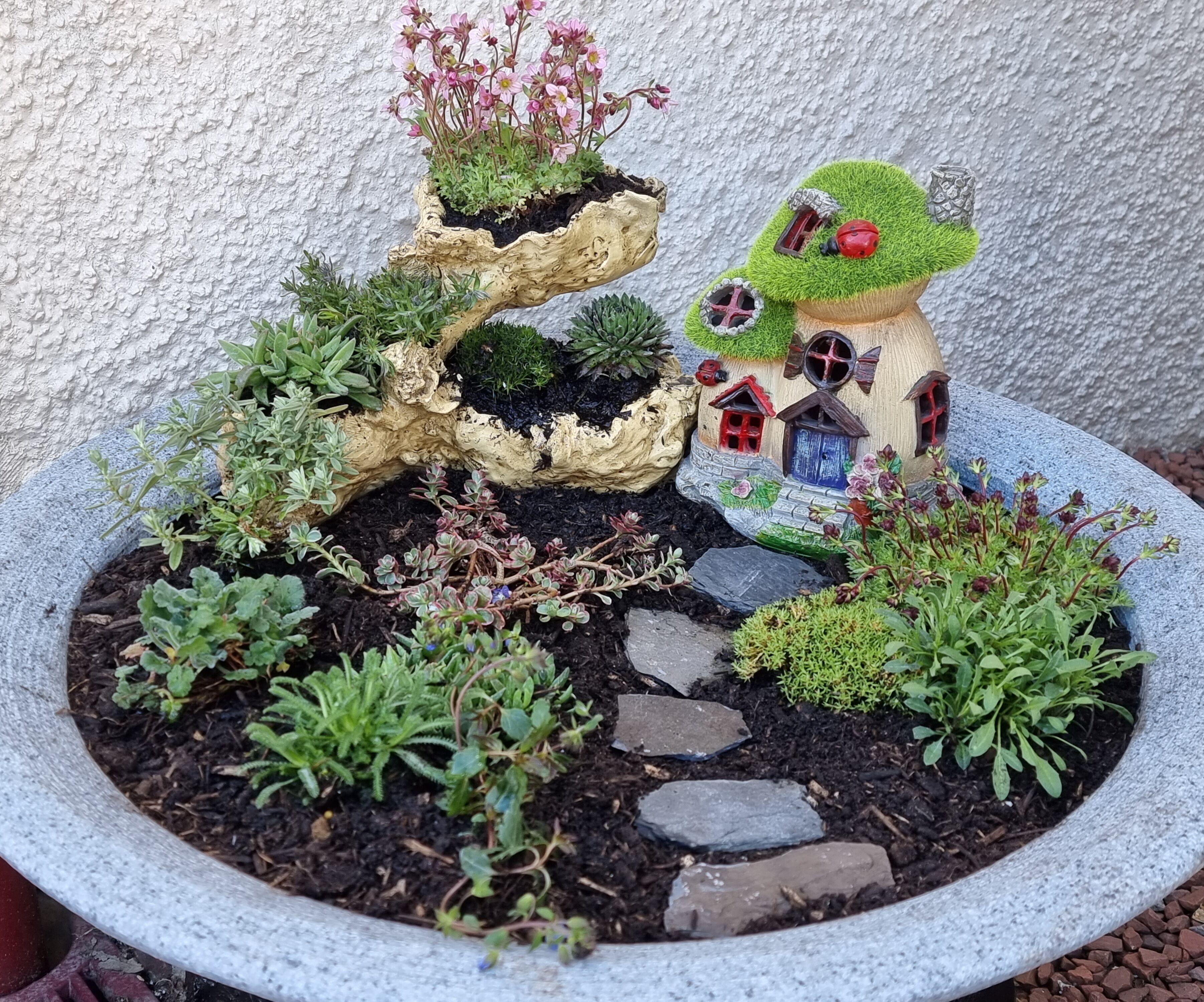 Ein Garten mit einem Zwerchhaus und verschiedenen Pflanzen.