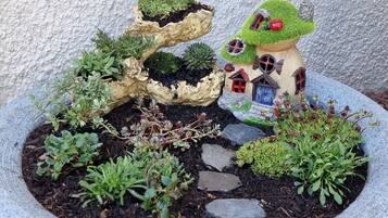 Ein Garten mit einem Zwerchhaus und verschiedenen Pflanzen.