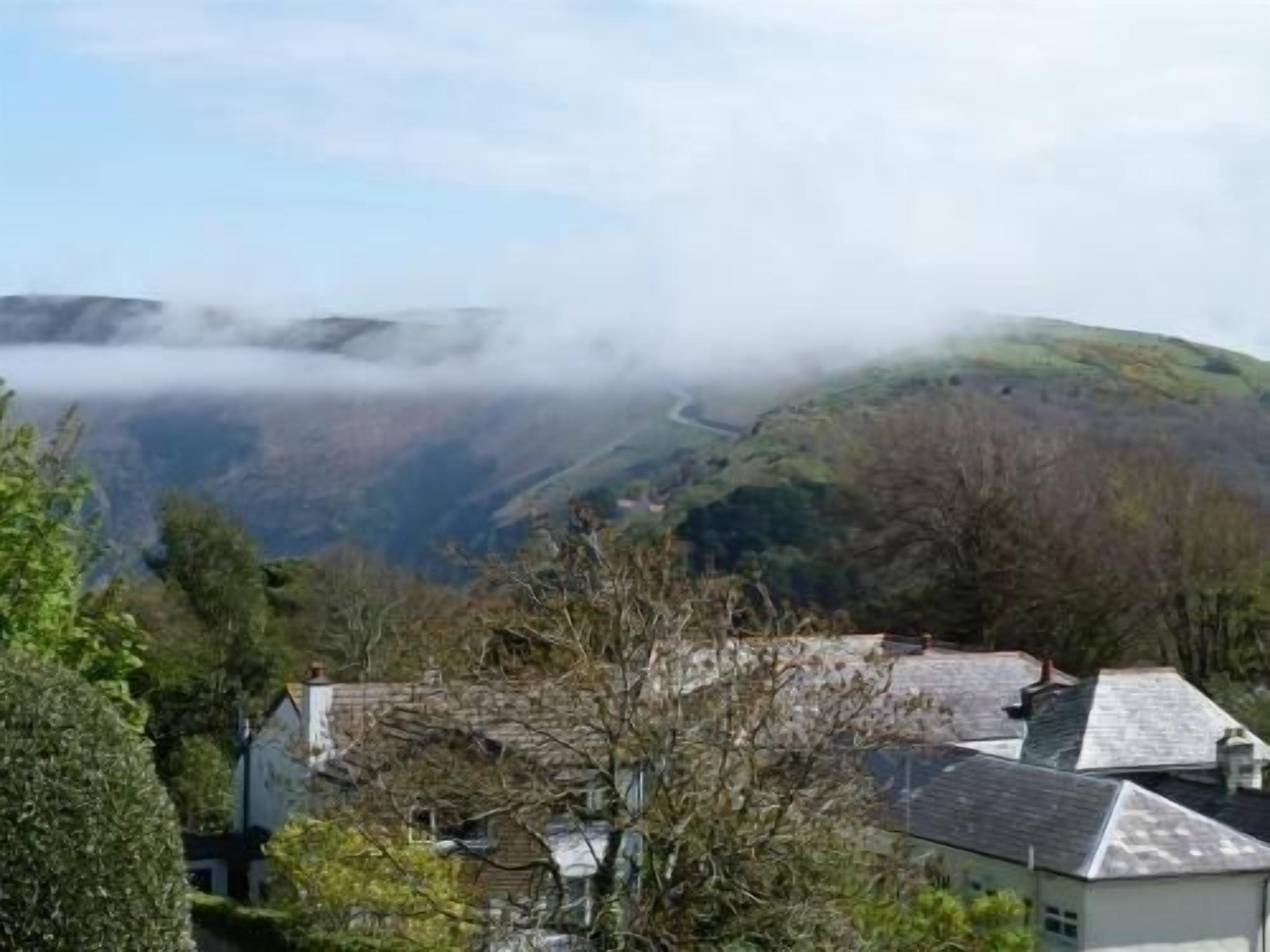 A residential area with houses, trees, and a mountain in the background.