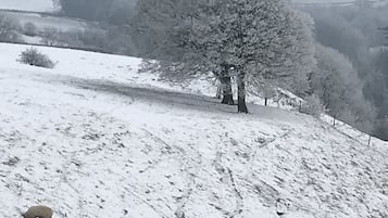 A snowy landscape with a stone wall and a tree.