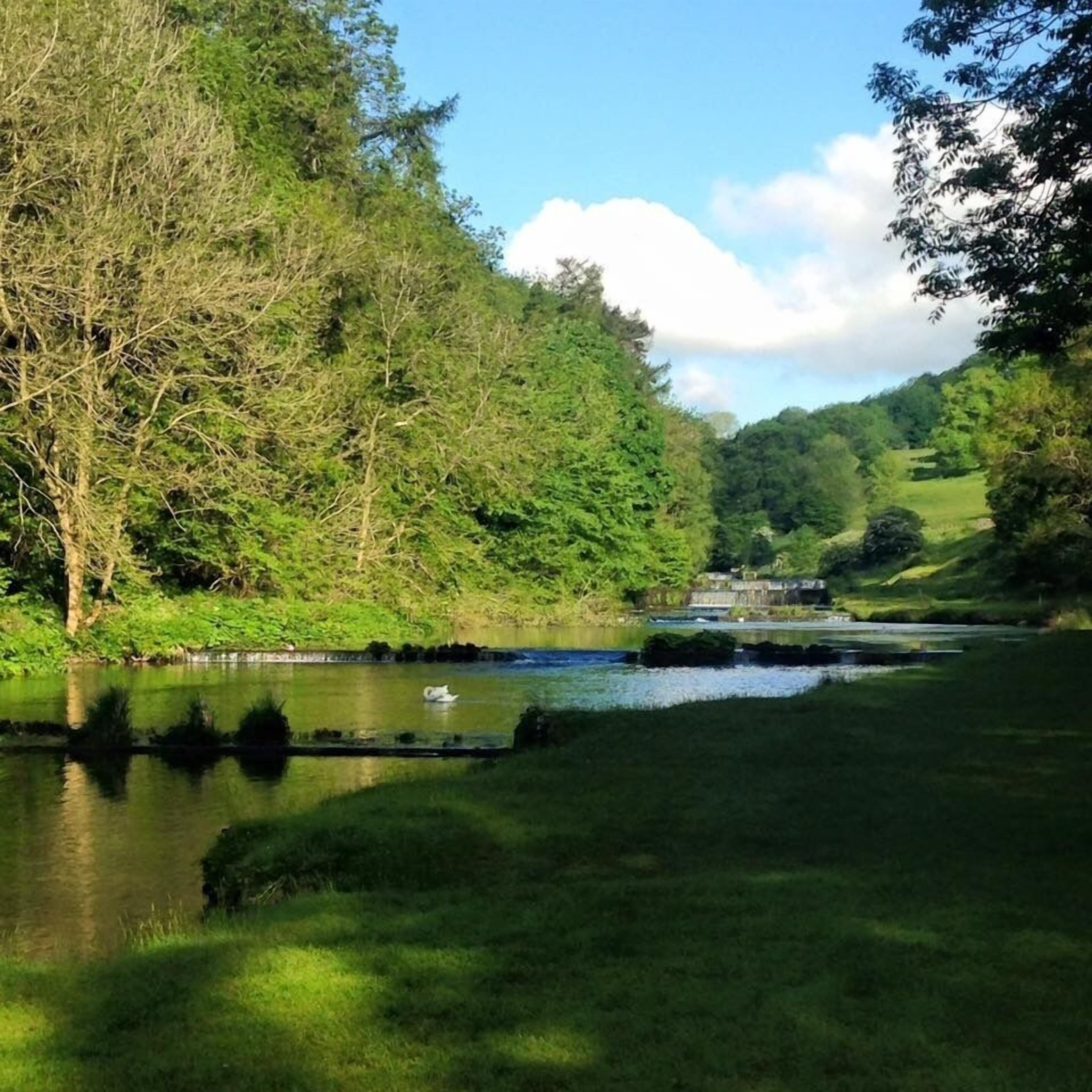Un paisaje tranquilo a orillas del río, con abundante vegetación y cielo despejado.