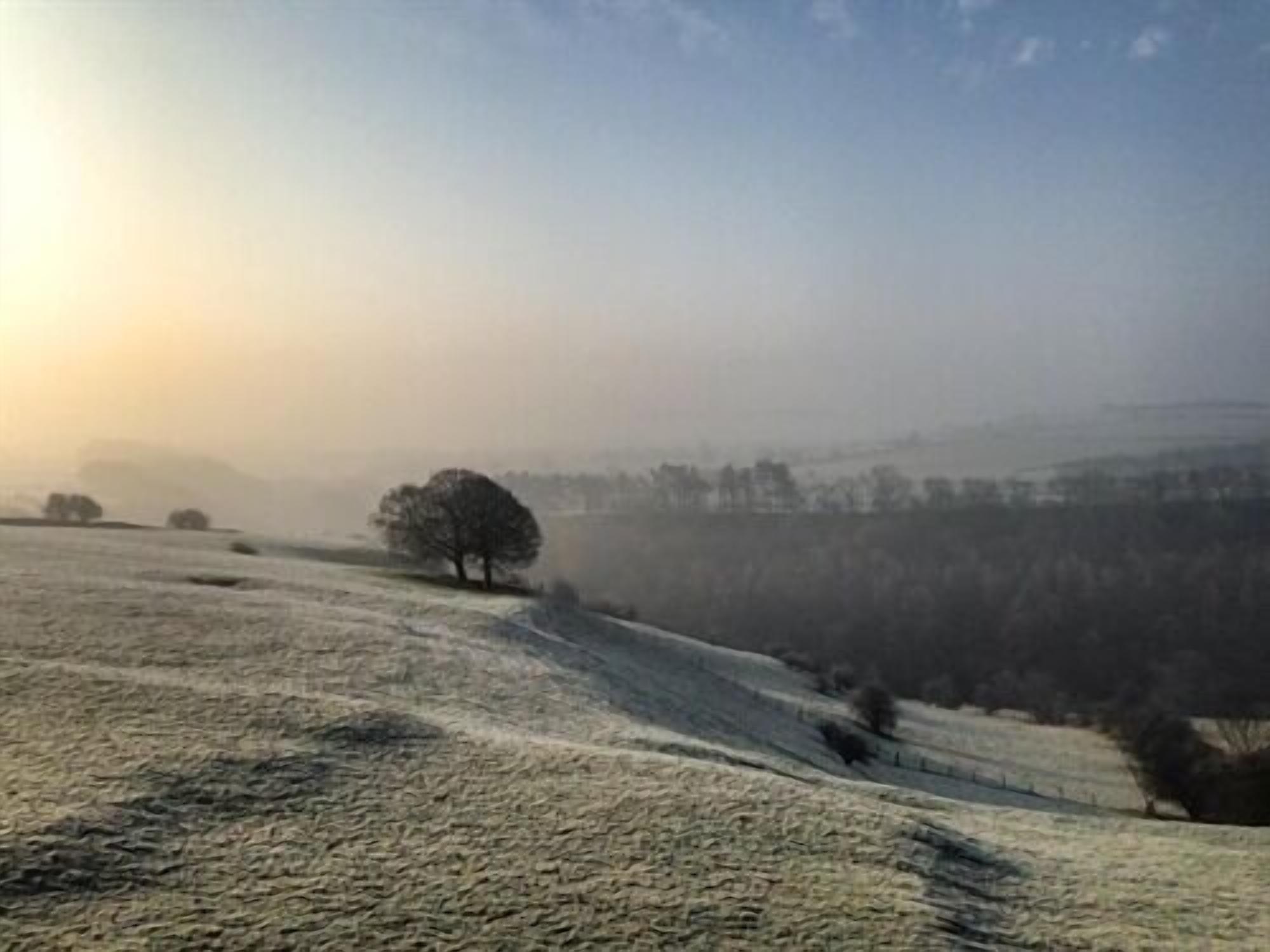 A frosty landscape with rolling hills and a solitary tree in the distance.