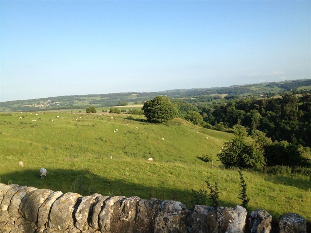 A stone wall with a grassy field and a tree in the distance.