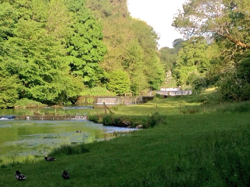 Un entorno tranquilo junto al río, con abundante vegetación y un pequeño puente.
