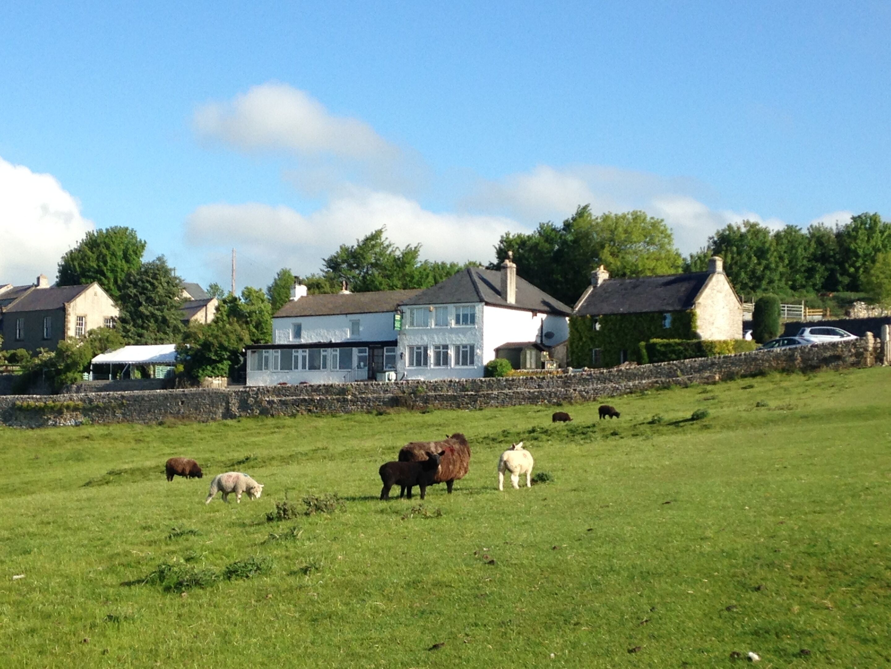 A rural landscape with a grassy field, a stone wall, and several houses with distinct architectural styles.