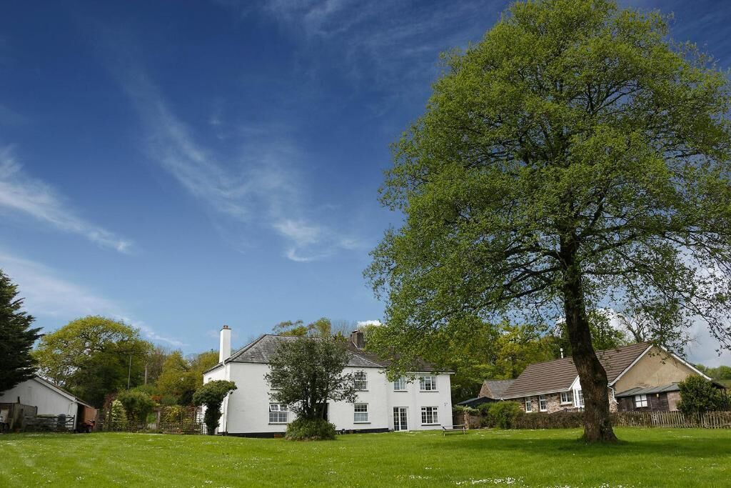 A white house with a large tree in front, surrounded by a grassy lawn and other buildings.