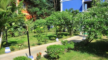 Vườn