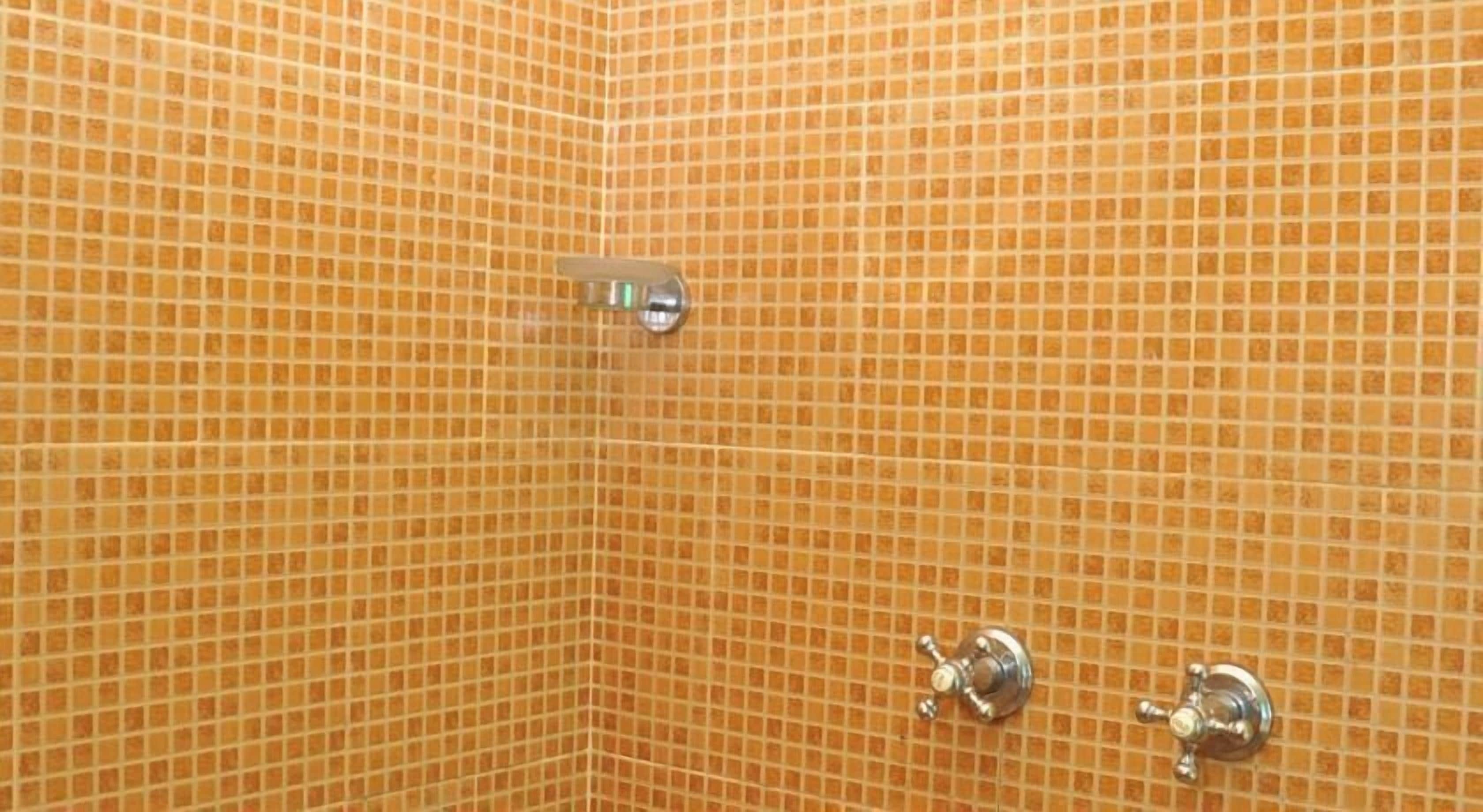 A corner of a bathroom with a tiled wall and a showerhead.