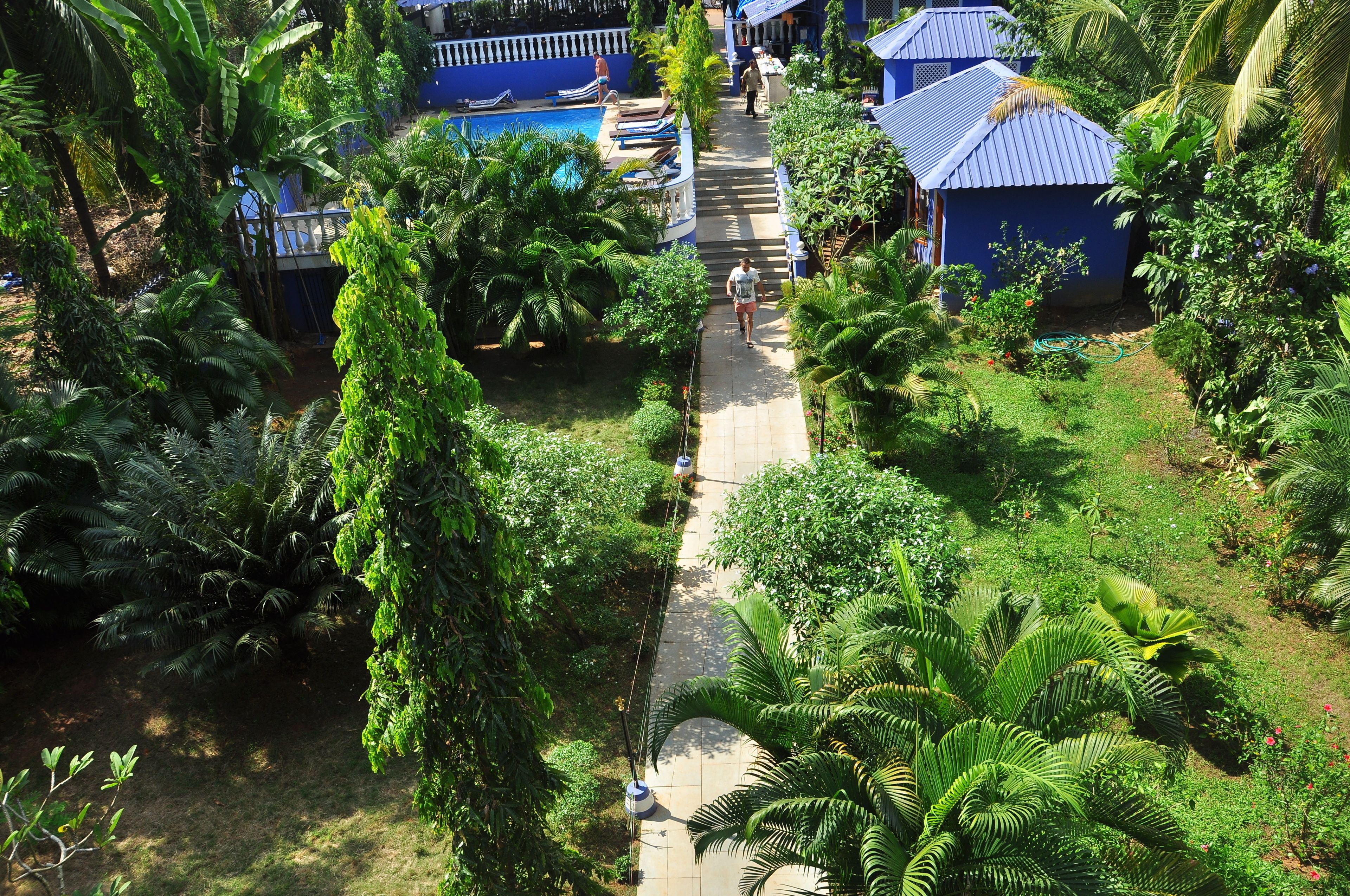 Una piscina al aire libre, sombrillas, tumbonas