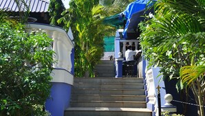 A staircase leading to a building with a blue exterior, surrounded by greenery and potted plants.