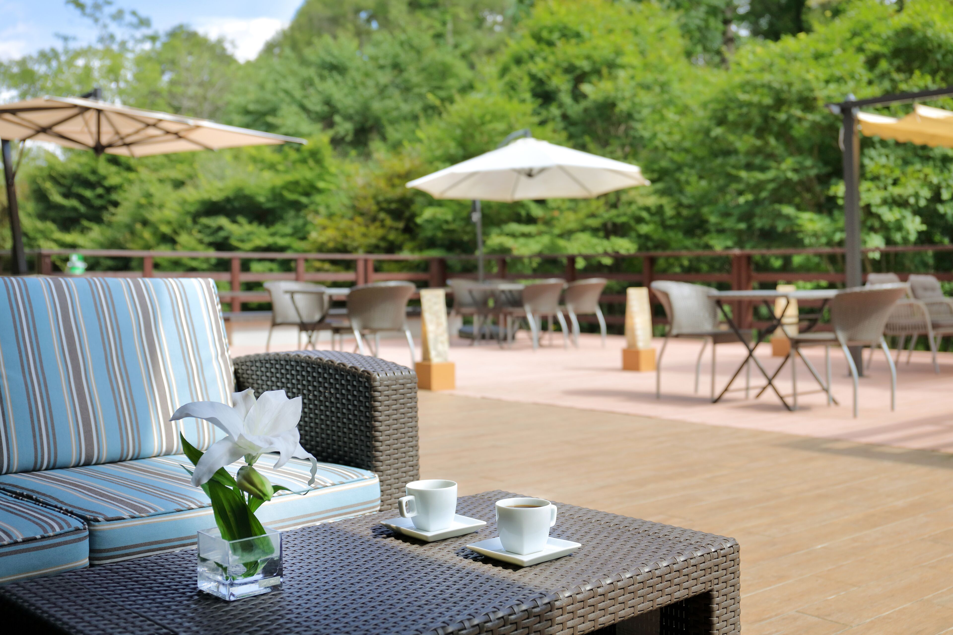 Terrasse/patio