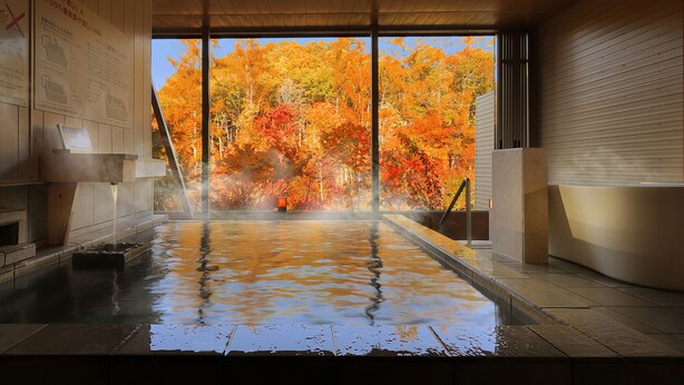 A hot spring bath with a view of autumn trees. - Hotel Ryu Resort and Spa (Takayama)