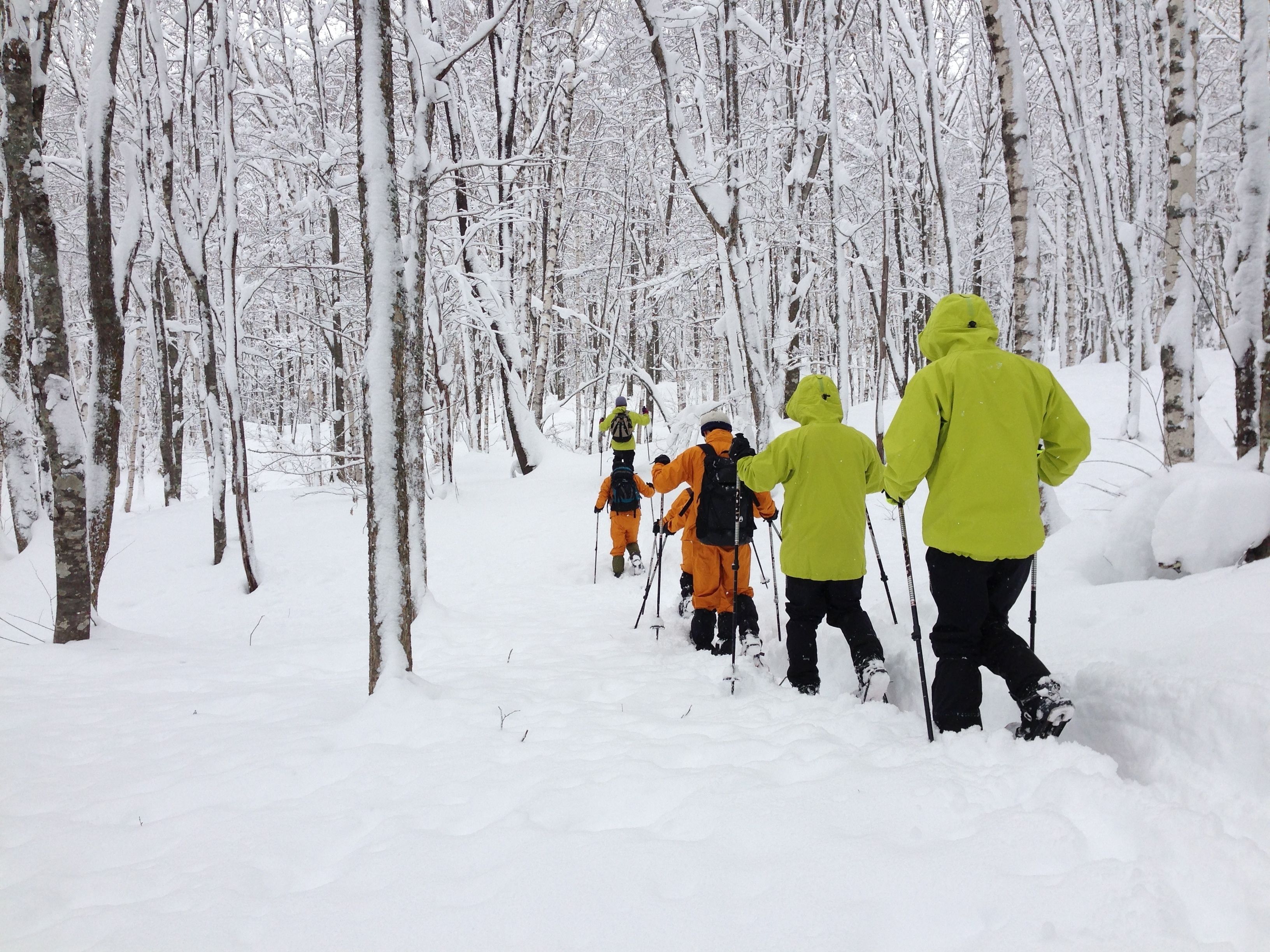 Eine Gruppe von Wanderern in einem verschneiten Wald.