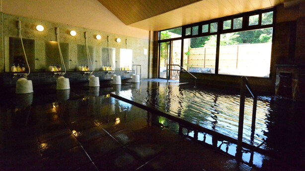 A large indoor swimming pool with multiple lanes, a wooden ceiling, and large windows allowing natural light.