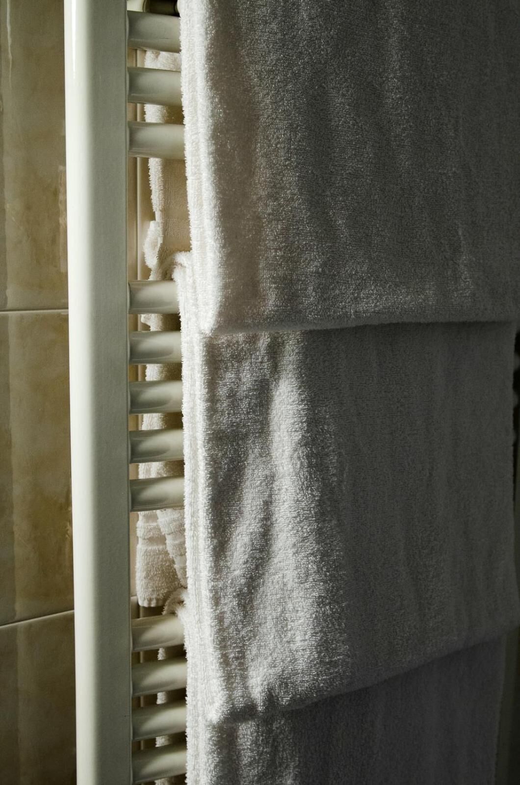 shower, free toiletries, hair dryer, bidet