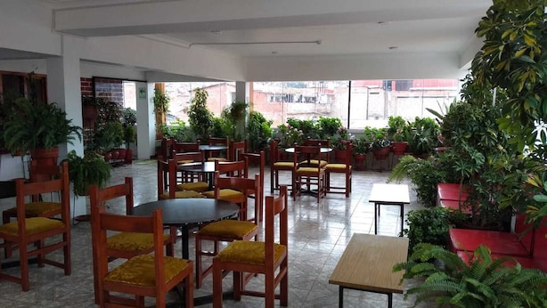 A spacious indoor area with multiple wooden tables and chairs, surrounded by potted plants.