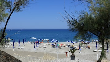 Plage privée, chaises longues, parasols, planche à voile