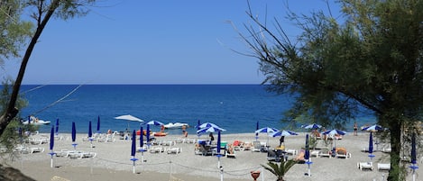 Plage privée, chaises longues, parasols, planche à voile